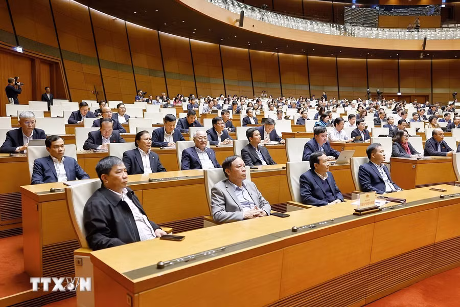 Đại biểu dự phiên họp. Ảnh: Doãn Tấn/TTXVN