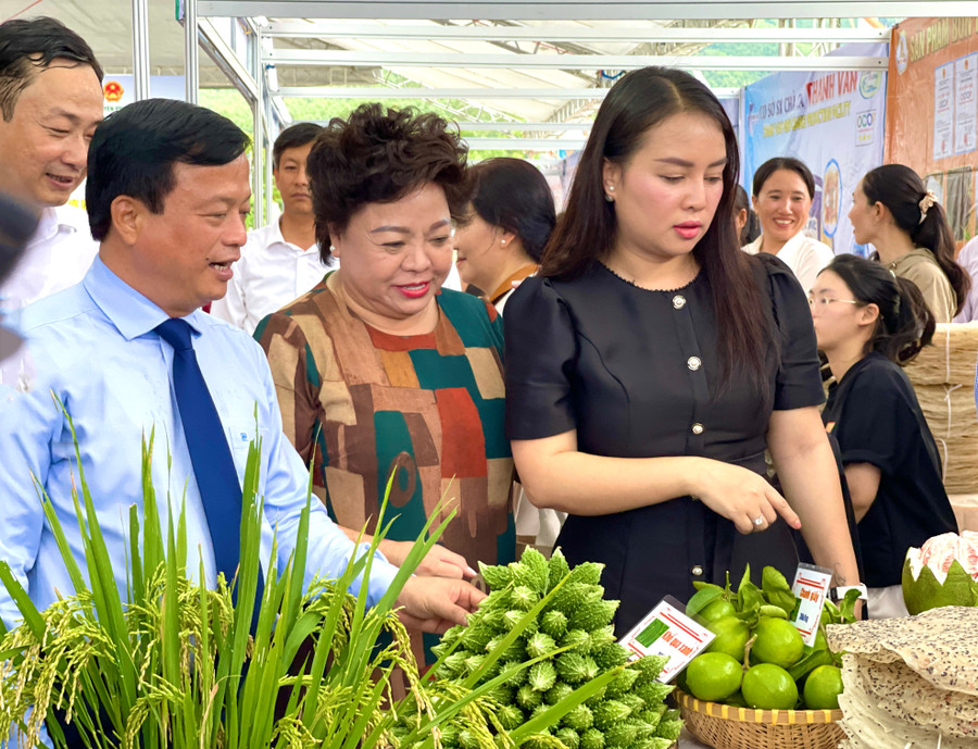 Phó Chủ tịch Thường trực UBND tỉnh Nguyễn Tuấn Thanh (bìa trái) giới thiệu nông sản ở xã Vĩnh Thạnh cho bà Nguyễn Thị Diễm Hằng - Tổng Giám đốc Công ty CP Vinanutrifood Bình Định (bìa phải). Ảnh: Hải Yến pho-chu-tich-thuong-truc.jpg