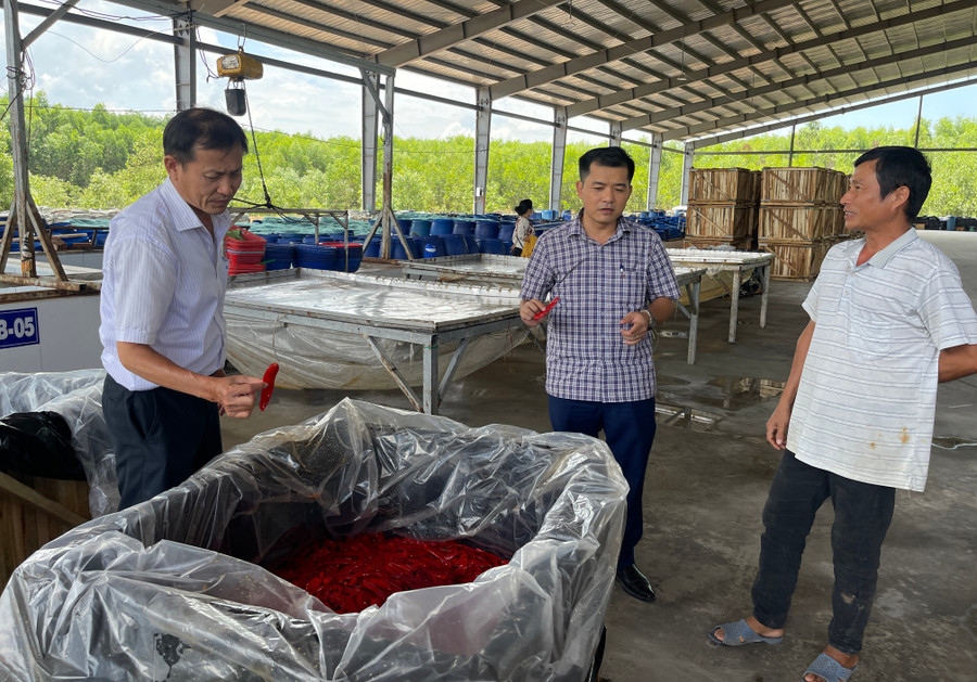 Mỗi năm, Công ty Chế biến nông sản, lương thực thực phẩm xuất khẩu Trần Gia (Cụm công nghiệp Đại Thạnh, xã Phù Mỹ) thu mua hơn 4.000 tấn ớt làm ớt chua xuất khẩu sang Trung Quốc. Ảnh: Hải Yến cong-ty-che-bien-nong-san.jpg