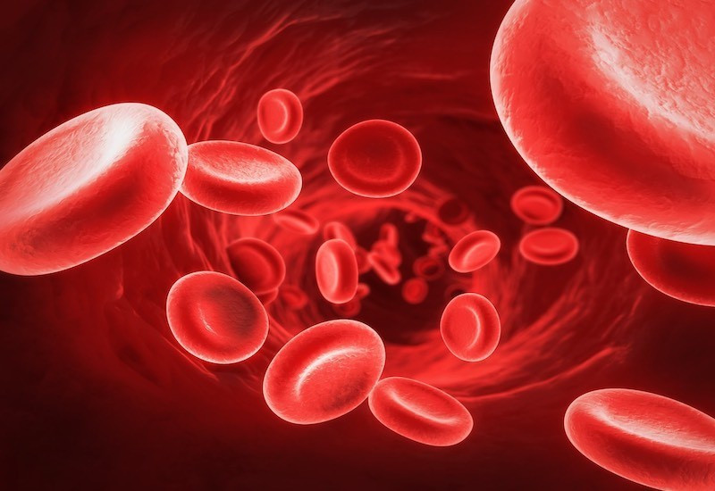 Bác sĩ Lê Thị Thanh Vui chia sẻ: "Quá trình tạo máu, hay còn gọi là hematopoiesis, là một hoạt động sinh học kỳ diệu diễn ra liên tục trong tủy xương. Để sản xuất ra các tế bào máu chất lượng và đủ số lượng, cơ thể cần một nguồn cung cấp đa dạng và đầy đủ các vi chất dinh dưỡng. Thiếu hụt bất kỳ yếu tố nào cũng có thể dẫn đến rối loạn tạo máu, mà phổ biến nhất là thiếu máu, ảnh hưởng nghiêm trọng đến sức khỏe và chất lượng cuộc sống. Ảnh minh họa: Internet Bác sĩ Lê Thị Thanh Vui chia sẻ: "Quá trình tạo máu, hay còn gọi là hematopoiesis, là một hoạt động sinh học kỳ diệu diễn ra liên tục trong tủy xương. Để sản xuất ra các tế bào máu chất lượng và đủ số lượng, cơ thể cần một nguồn cung cấp đa dạng và đầy đủ các vi chất dinh dưỡng. Thiếu hụt bất kỳ yếu tố nào cũng có thể dẫn đến rối loạn tạo máu, mà phổ biến nhất là thiếu máu, ảnh hưởng nghiêm trọng đến sức khỏe và chất lượng cuộc sống. Ảnh minh họa: Internet