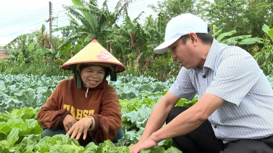 Cán bộ Phòng Kinh tế xã Vĩnh Sơn tham quan mô hình trồng rau ôn đới của chị Đinh Thị Boi. Ảnh: Đ.T can-bo-kinh-te.jpg