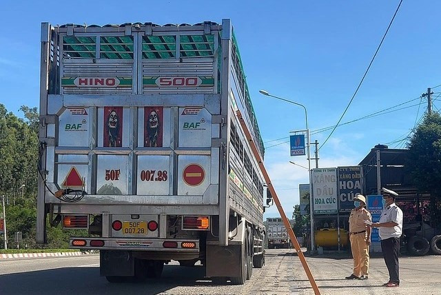 Lực lượng CSGT cùng nhân viên thú y làm việc tại chốt kiểm dịch động vật Bình Đê (phường Hoài Nhơn Bắc) kiểm tra phương tiện vận chuyển động vật trước khi cho vào tỉnh. Ảnh: TRỌNG LỢI 3.jpg