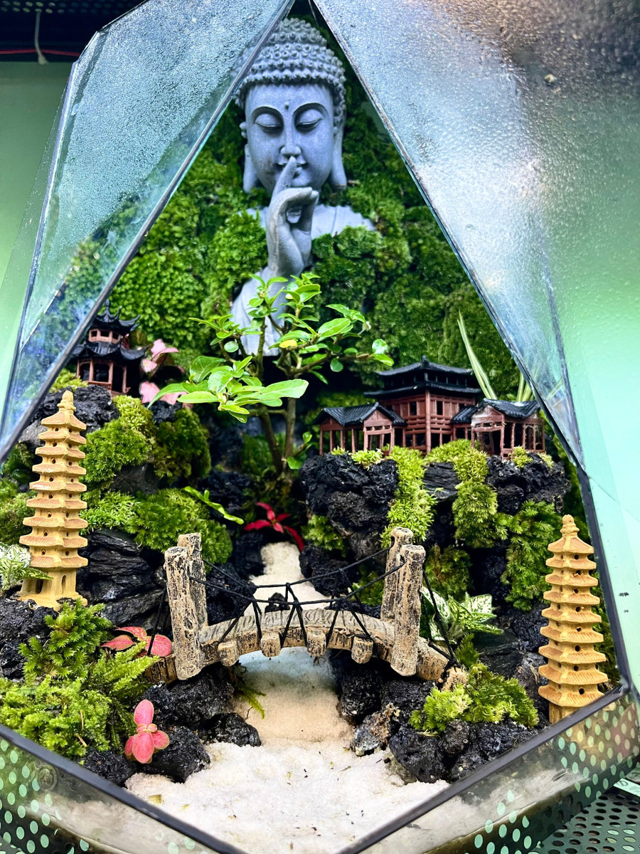 tac-pham-terrarium-3.jpg