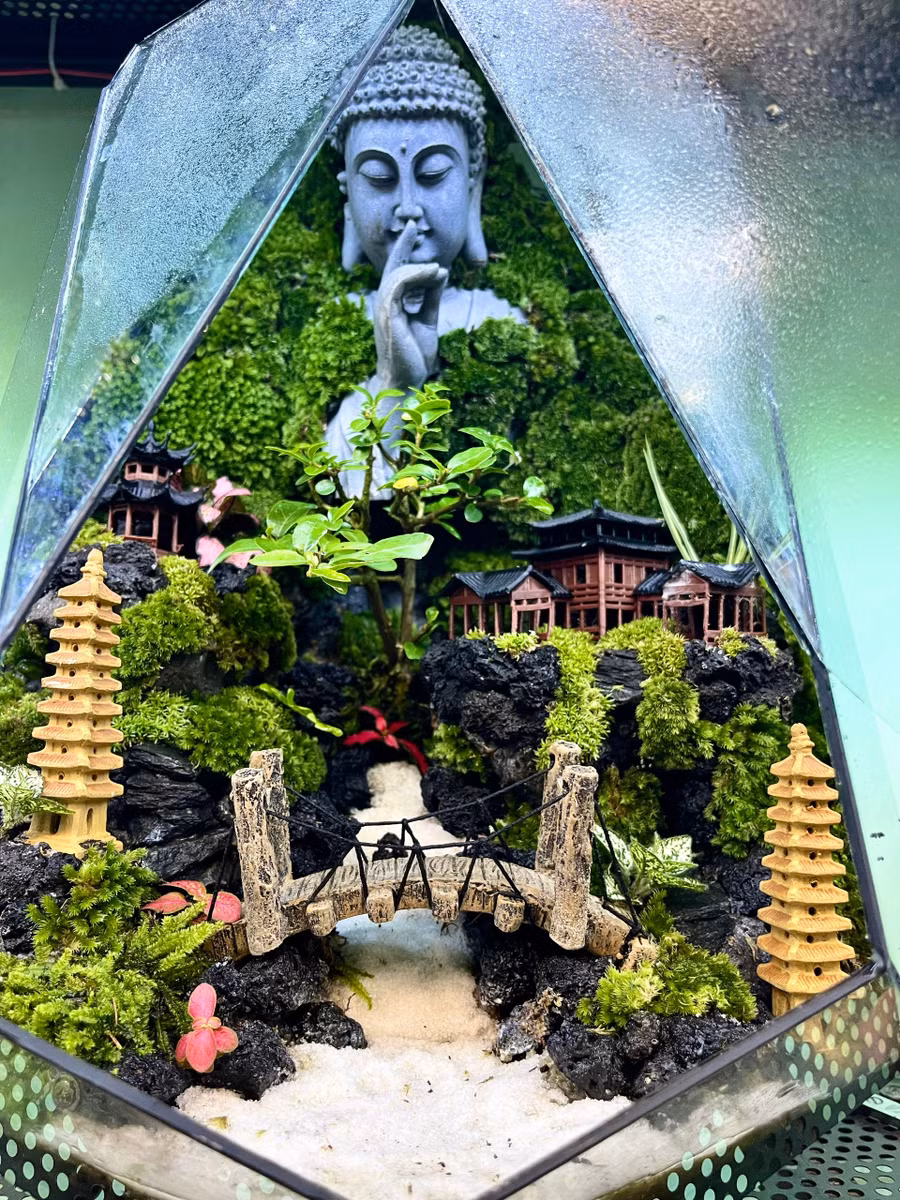 tac-pham-terrarium-3.jpg