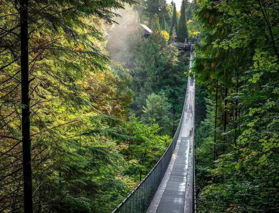 Xây dựng: Năm 1889 (1903 và 1953). Việc băng qua cầu treo Capilano bên trong công viên quốc gia nổi tiếng của Vancouver, British Columbia không dành cho người yếu tim (hoặc sợ độ cao), nhưng khung cảnh tuyệt đẹp xứng đáng với từng bước chân. Cây cầu treo dài 137 mét bắc ngang sông Capilano được xây dựng dựa trên những hiểu biết kỹ thuật của người bản địa