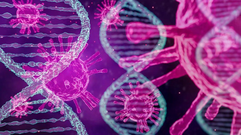 Ảnh minh hoạ. (Nguồn: Shutterstock) virus.jpg