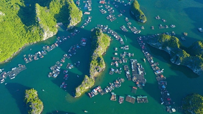 នៅឆ្នាំ ២០២៣ ឈូងសមុទ្រ Ha Long - ប្រជុំកោះ Cat Ba (មានទីតាំងនៅខេត្ត Quang Ninh និងទីក្រុង Hai Phong) នឹងត្រូវបានទទួលស្គាល់ជាបេតិកភណ្ឌធម្មជាតិពិភពលោក។ នៅក្នុងរូបថត៖ សម្រស់នៃឈូងសមុទ្រ Lan Ha (ស្ថិតនៅភាគខាងកើតនៃកោះ Cat Ba) ដែលមើលឃើញពីលើ។ (រូបថត៖ Minh Duc/VNA) Năm 2023, Quần thể Vịnh Hạ Long - Quần đảo Cát Bà (thuộc địa bàn tỉnh Quảng Ninh và thành phố Hải Phòng) được công nhận là Di sản Thiên nhiên Thế giới. Trong ảnh: Vẻ đẹp của Vịnh Lan Hạ (nằm ở phía Đông đảo Cát Bà) nhìn từ trên cao. (Ảnh: Minh Đức/TTXVN)