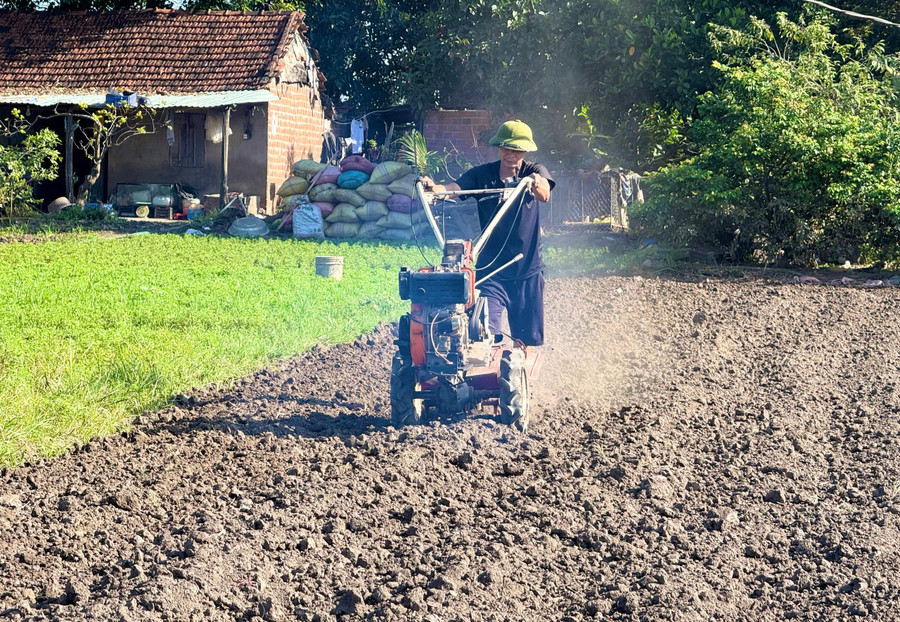 Mr. Nguyen Van Tai (residential group 21, Ayun Pa ward) took the opportunity to restore his vegetable garden after the two recent floods. Photo: Lac Ha khoi-phuc-san-xuat-4.jpg
