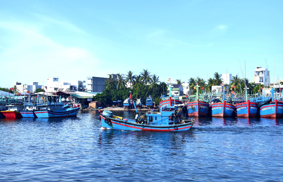 Cảng cá Tam Quan ở phường Hoài Nhơn Bắc. Ảnh: H.Thu 84.jpg