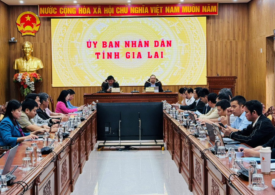 a1-quang-canh-tai-diem-cau-gia-lai.jpg