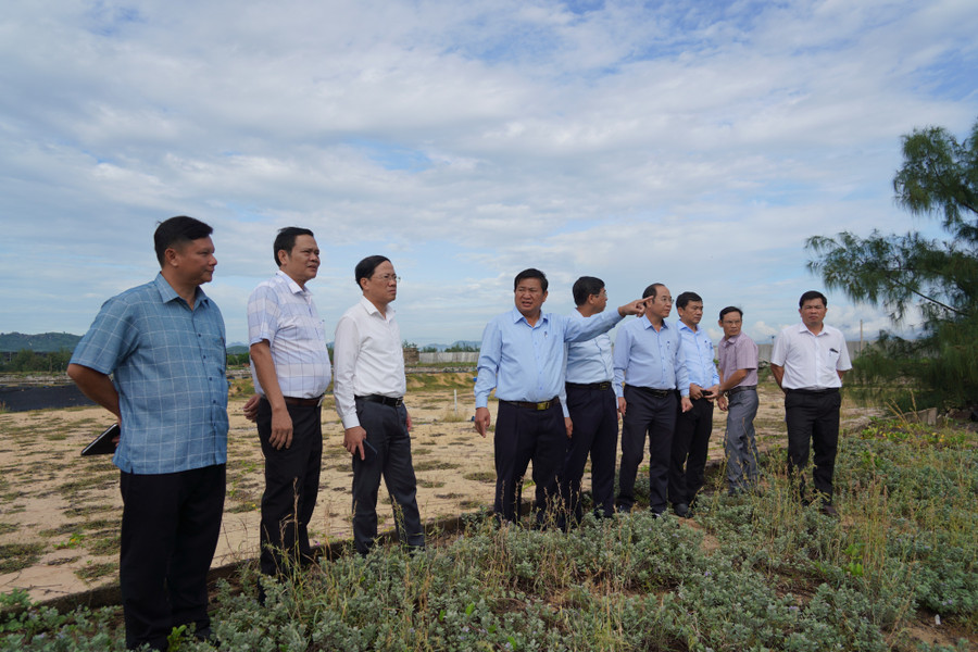 Chủ tịch UBND tỉnh Phạm Anh Tuấn (thứ 3 từ trái qua) kiểm tra địa điểm triển khai Dự án Trung tâm đào tạo và phát triển nguồn nhân lực năng lượng tái tạo trên địa bàn xã Phù Mỹ Đông. Ảnh: N.H a2.jpg