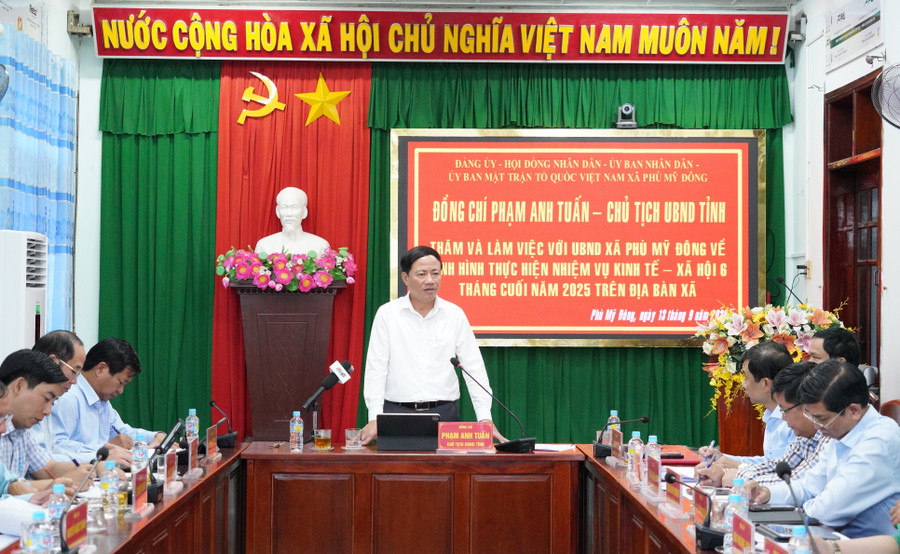 Chủ tịch UBND tỉnh Phạm Anh Tuấn kết luận tại buổi làm việc. Ảnh: N.H a5.jpg