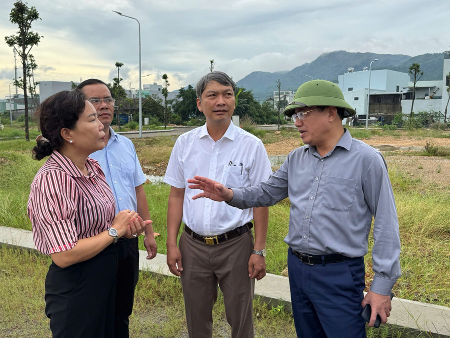 Chủ tịch UBND tỉnh Phạm Anh Tuấn (bìa phải) kiểm tra một dự án phát triển đô thị tại phường Quy Nhơn Bắc. Ảnh: N.H a1chu-tich-ubnd-tinh-pham-anh-tuan-kiem-tra-mot-du-an-phat-trien-do-thi-tai-phuong-quy-nhon-bac-anh-nh.jpg