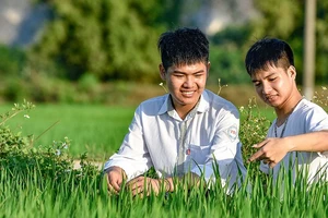 Đôi bạn 10 năm cõng nhau đến trường: 'Em thấy quá là mệt'