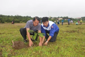 Pleiku: Đoàn viên, thanh niên trồng 12.000 cây xanh tại xã Gào