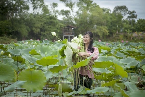 Hồi sinh phong vị tết Huế