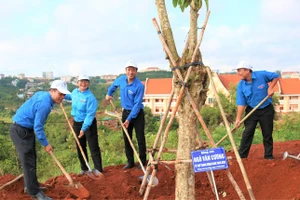 Trồng cây xanh, tạo không gian xanh thu hút du lịch ở Đắk Nông