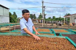 Lão nông làng Hố Lang trở thành tỷ phú nhờ trang trại tổng hợp