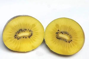 Cải thiện sức khỏe với quả kiwi