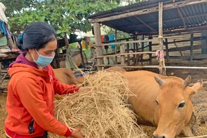 Phụ nữ Chư A Thai sáng tạo gây quỹ