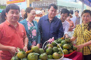 Phiên chợ nông sản an toàn huyện Đak Đoa: Mở rộng quảng bá, kết nối tiêu thụ sản phẩm