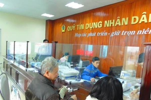 Thủ tướng Chính phủ yêu cầu tăng cường thanh tra, giám sát toàn diện hoạt động của Quỹ tín dụng nhân dân