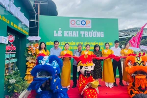 Krông Pa: Khai trương điểm giới thiệu, bán sản phẩm OCOP