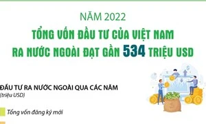 Việt Nam đầu tư ra nước ngoài đạt gần 534 triệu USD trong năm 2022