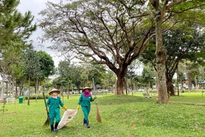 Bảo vệ "lá phổi xanh" thành phố Pleiku