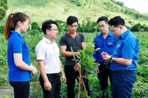 Học sinh, sinh viên Gia Lai phấn đấu "vừa hồng, vừa chuyên"