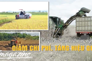 Cơ giới hóa sản xuất nông nghiệp: Giảm chi phí, tăng hiệu quả