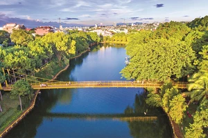 Chuyện thú vị về "mắt ngọc" Pleiku