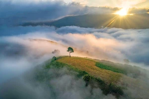 Ngang qua đỉnh núi mây ngàn