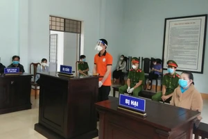 Tham ô tài sản, Giám đốc hợp tác xã lãnh 4 năm tù