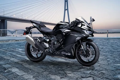 Kawasaki Ninja ZX-4R: Xứng tầm mô tô thể thao lâu đời, giá niêm yết từ 250 triệu đồng