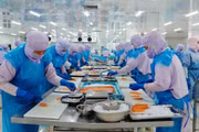 Kim ngạch xuất khẩu tháng 7 ước đạt 253,16 triệu USD, nâng tổng kim ngạch xuất khẩu lũy kế 7 tháng lên 2,354 tỷ USD, tăng 2,7% so với cùng kỳ năm 2025.