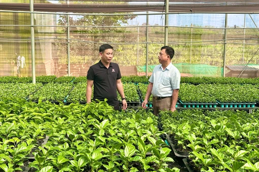 Chư Sê bứt phá với nông nghiệp công nghệ cao.