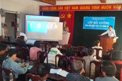 Ông Lương Đình Trọng - Phó Chủ tịch Liên minh HTX tỉnh Gia Lai phát biểu ý kiến chỉ đạo tại Lớp bồi dưỡng nghiệp vụ HTX năm 2025. Ảnh: Hoàng Cư