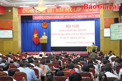 Đẩy mạnh chuyển đổi số trong hoạt động của HĐND các cấp