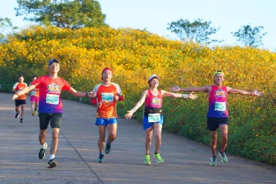 Gia Lai City Trail 2025-Giấc mơ đại ngàn chính thức mở cổng đăng ký