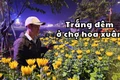 Trắng đêm ở chợ hoa xuân