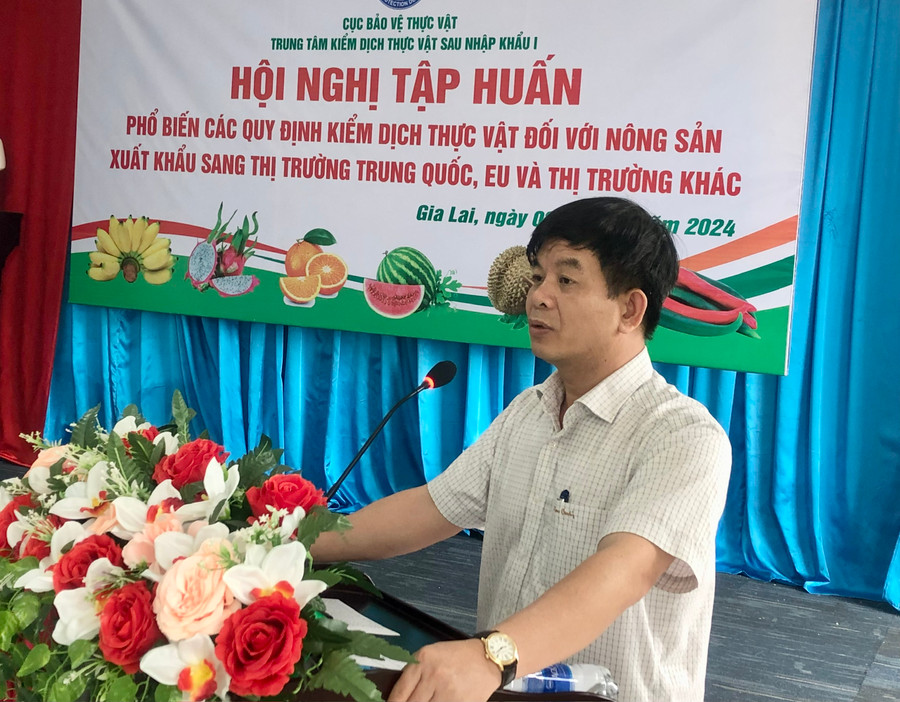 Ông Lê Nhật Thành-Giám đốc Trung tâm Kiểm dịch thực vật sau nhập khẩu I (Cục Bảo vệ thực vật) phát biểu về việc thiết lập, cấp và quản lý mã số vùng trồng, cơ sở đóng gói nông sản tại Hội nghị tập huấn ở Gia Lai. Ảnh: Lê Nam