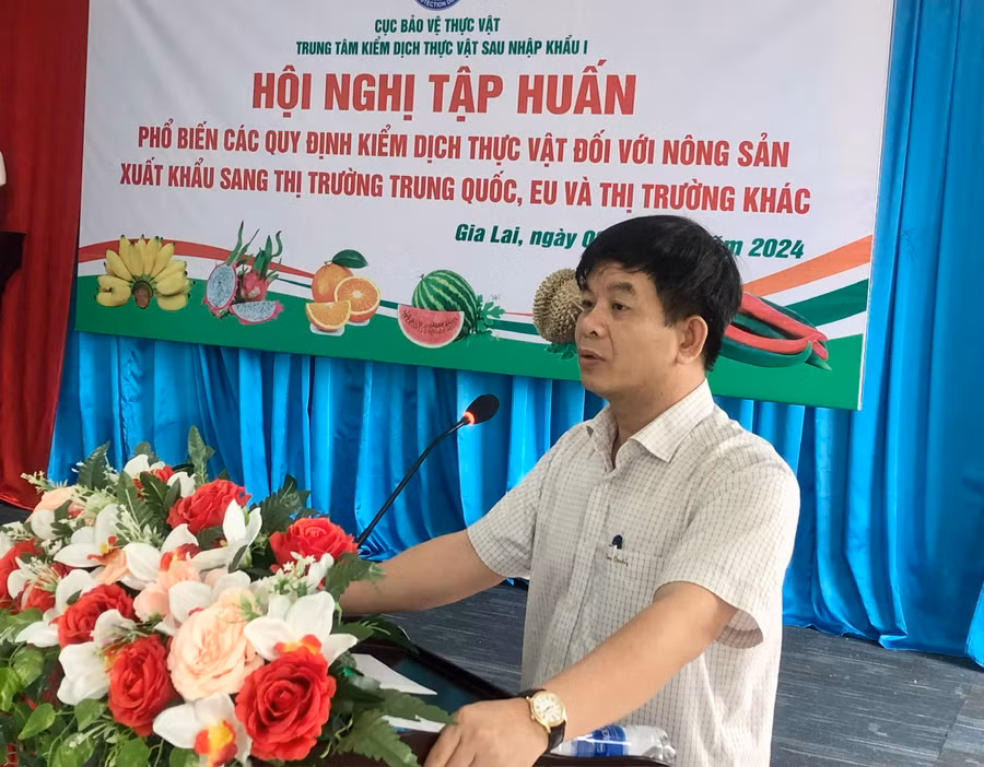 Ông Lê Nhật Thành-Giám đốc Trung tâm Kiểm dịch thực vật sau nhập khẩu I (Cục Bảo vệ thực vật) phát biểu về việc thiết lập, cấp và quản lý mã số vùng trồng, cơ sở đóng gói nông sản tại Hội nghị tập huấn ở Gia Lai. Ảnh: Lê Nam