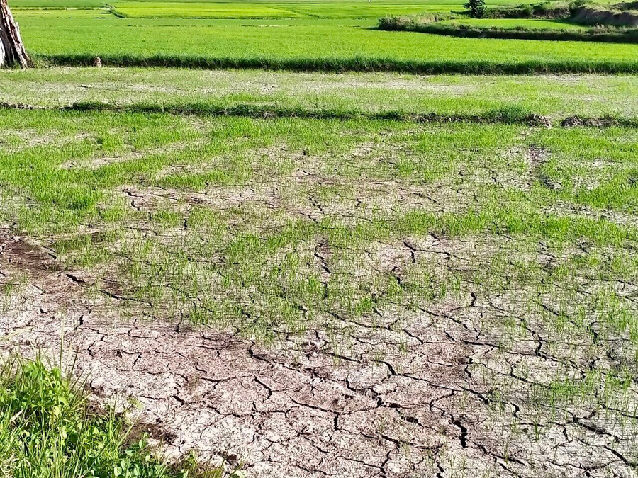 Tăng cường thực hiện các giải pháp phòng-chống hạn hán, thiếu nước, phục vụ sản xuất nông nghiệp. Ảnh: Lê Nam Tăng cường thực hiện các giải pháp phòng-chống hạn hán, thiếu nước, phục vụ sản xuất nông nghiệp. Ảnh: Lê Nam