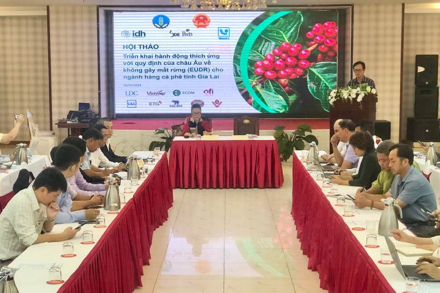 Quang cảnh “Hội thảo triển khai hành động thích ứng với quy định của châu Âu về không gây mất rừng (EUDR) tại Gia Lai”. Ảnh: Lê Nam