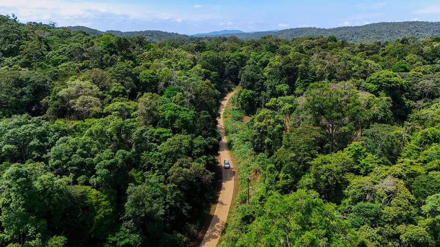 Các vận động viên sẽ chạy dọc theo các tuyến đường tuần tra rừng. Ảnh: Bi Ly