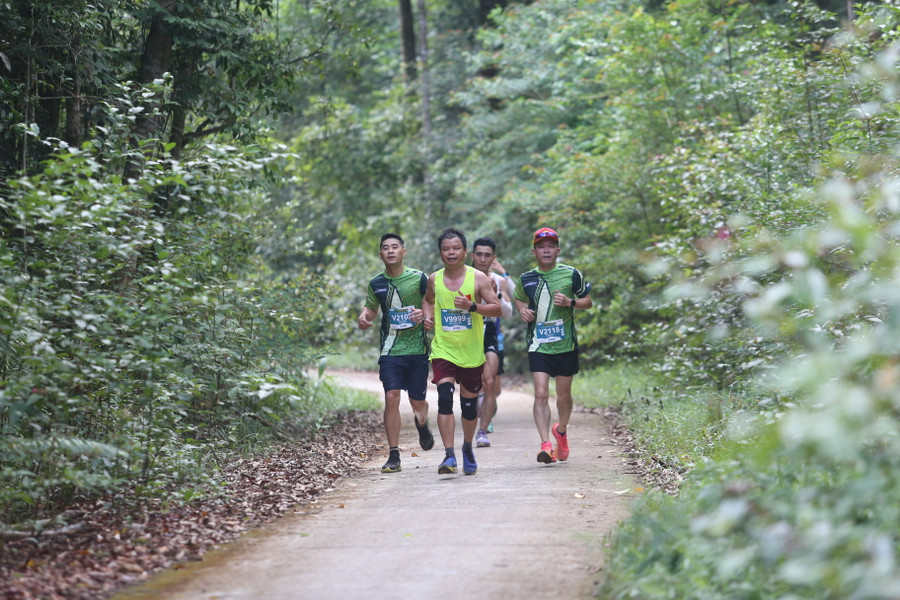 Phó Chủ tịch UBND tỉnh Nguyễn Hữu Quế (dẫn đầu) thi đấu ở cự ly 21km. Ảnh: Văn Ngọc Phó Chủ tịch UBND tỉnh Nguyễn Hữu Quế (dẫn đầu) thi đấu ở cự ly 21km. Ảnh: Văn Ngọc
