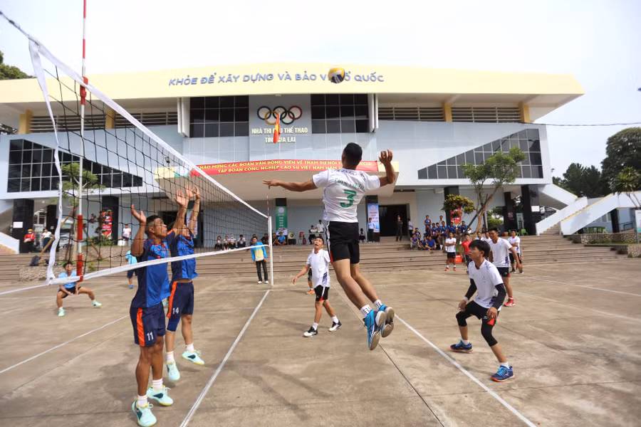 Các VĐV sẽ tranh tài ở 7 môn thi đấu. Ảnh: Văn Ngọc