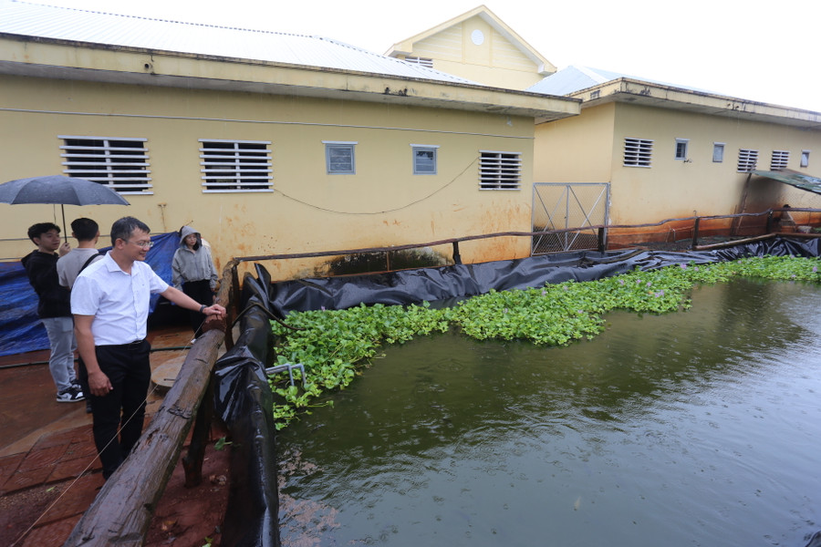 Khu vực chứa nước mưa để tích trữ cho mùa khô và nuôi cá. Ảnh: Văn Ngọc