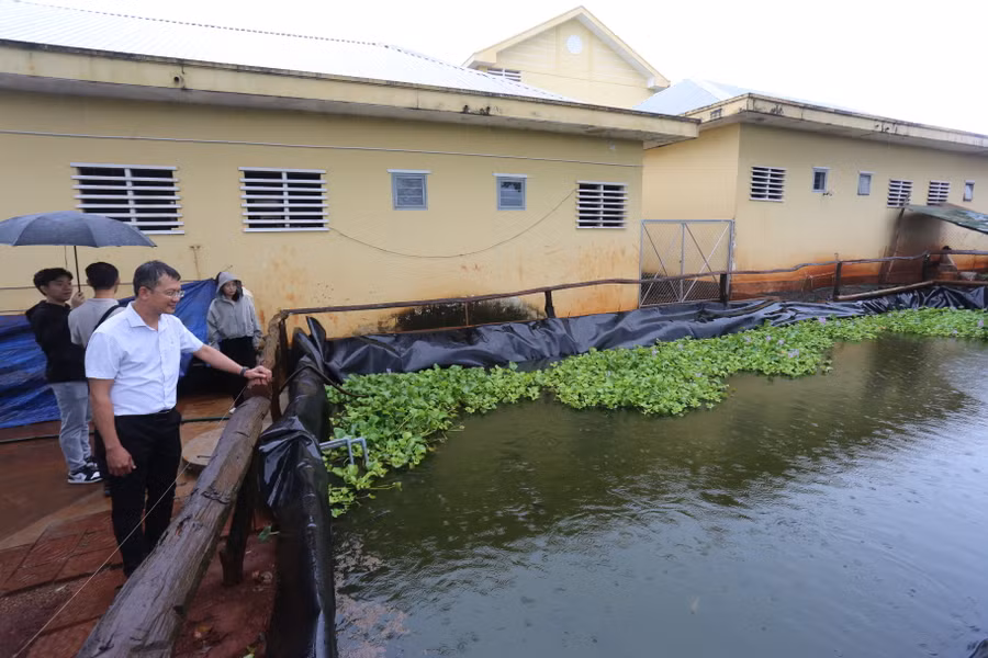 Khu vực chứa nước mưa để tích trữ cho mùa khô và nuôi cá. Ảnh: Văn Ngọc